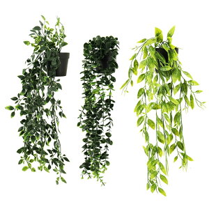 IKY Ǌ|tFCNO[ 3Zbg sv tȂ ݂艺  ͋C rO