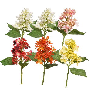 [ROOOMTECH]A 6{Zbg ? CeAO[Et[AWEe[uɁbsvE͂ȂEȒPȃtFCNt[