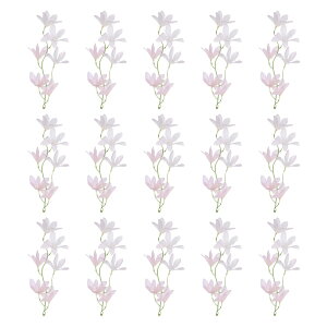 PATIKIL I[LhtFCNt[ 15̐lHԃAWgwAswbhhX[X Lhԕrz[EFfBOZ^[s[X VFsN