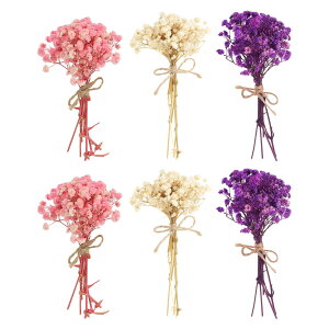 PATIKIL ~jԃu[P 6 xr[YuXVR쐶ԌstfR{z[t[vgt[tH[tgDIYtHgvbvMtgEFfBOfR[V sN/[Y