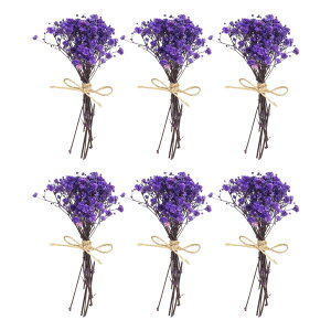 PATIKIL ~jԃu[P 6 xr[YuXR쐶ԌstfR{zԐAԃNtgDIYtHgvbvMtgEFfBOfR u[p[v