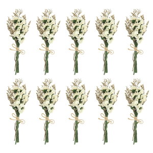 PATIKIL ~jԃu[P 10 Yȑ RȖ쐶 ԑ XefR[V xr[uX {w ~At[vgt[ NtgDIYtHgvbvMtgEFfBOf