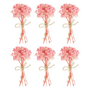 PATIKIL ~jԃu[P 6 xr[YuXR 쐶 ԑ XefR{zԐAԃNtgDIYtHgvbvMtgEFfBOfR[V CgsN