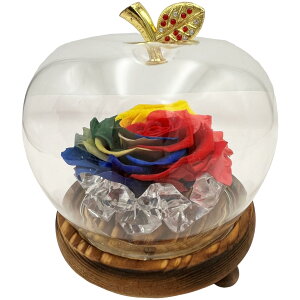 L[t(Q-FLA) \[vt[ LED C{[ OXh[ AW C{[ v[g j 782121