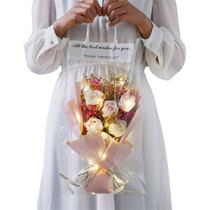 hCt[ yo J[l[V LEDCgtz ԑ    v[g Mtg 蕨 ܂ 1 (oisNzCgj)