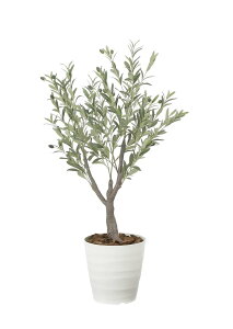 ̊y tFCNO[  fbNXI[u1.2m 2594A240