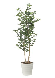 ̊y tFCNO[  ̖1.6m 2522A350