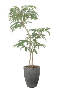 ̊y tFCNO[  i`˂ނ̖1.8m 2511A780