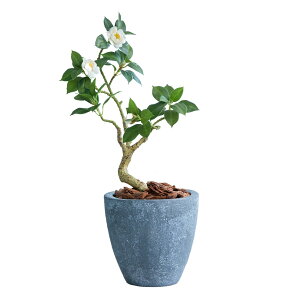 Botanical life+ tFCNO[ ϗtA G} { L R coL ~ 60cm DV[Y