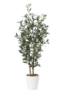 ̊y tFCNO[  I[u1.2m 869P260