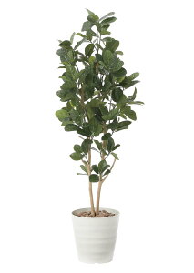 ̊y tFCNO[  p̖1.6m 2391P400