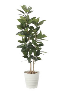 ̊y tFCNO[  S̖1.6m 2121P375