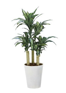 ̊y tFCNO[  K̖1.3m 2316P280