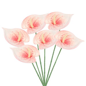 PATIKIL 13" lHAXE[̉ 6Zbg ivԃt[AWgu[P z[fR[V EFfBO Ղ p[eB[p IWzCg