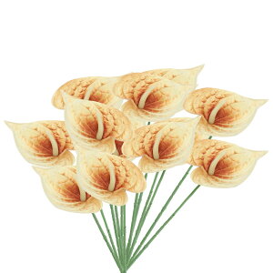 PATIKIL 13" lHAXE[̉ 10pbN ivԃt[AWgu[P z[fR[V EFfBO Ղ p[eB[p ^