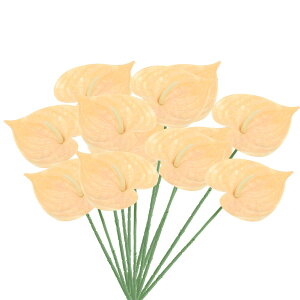 PATIKIL 13" lHAXE[̉ 10pbN ivԃt[AWgu[P z[fR[V EFfBO tFXeBop[eB[p CgR[