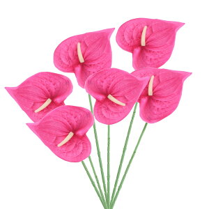 PATIKIL 13" lHAXE[̉ 6Zbg ivԃt[AWgu[P z[fR[V EFfBO Ղ p[eB[p _[NsN