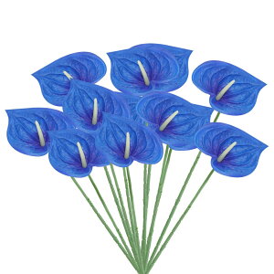 PATIKIL 13" lHAXE[̉ 10pbN ivԃt[AWgu[P z[fR[V EFfBO Ղ p[eB[p lCr[u[