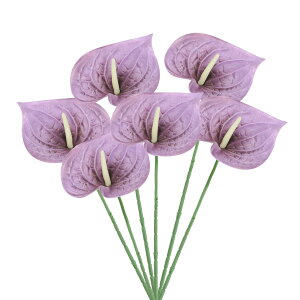 PATIKIL 13" lHAXE[̉ 6Zbg ivԃt[AWgu[P z[fR[V EFfBO Ղ p[eB[p _[Np[v