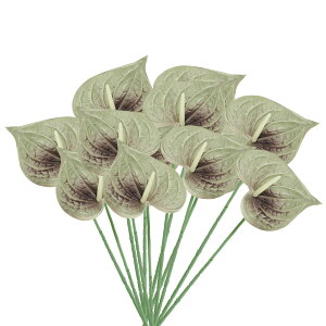 PATIKIL 13" lHAXE[̉ 10pbN ivԃt[AWgu[P z[fR[V EFfBO tFXeBop[eB[p O[