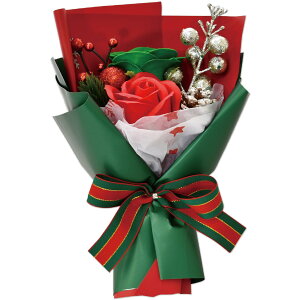 |s[É \[vt[ V{t[  Mtg v[g 2փu[P o ԑ 22cm MtgobOt SH-062 O[