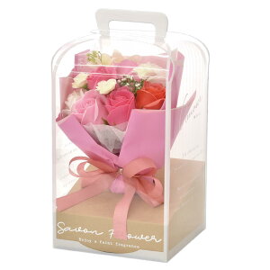 |s[É \[vt[ V{t[  Mtg v[g u[P o ԑ 28cm NAP[Xt SBL-207 [YsN