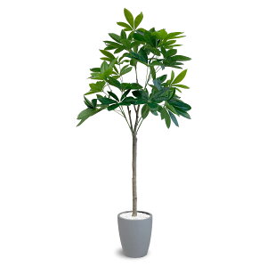 [ URBAN ] tFCNO[ pL 180y bsv͂Ȃ炸Ɗy߂ lHϗtA j ɂ ztFCN O[ ϗtA ^ lHA A i O[ jPAC-180GY