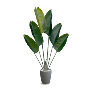 [ URBAN ] tFCNO[ Xg`A 120y E|炸CyɊy߂ ^ lHϗtA ztFCN O[ ϗtA ^ lHA A i O[ jSTR-120GY