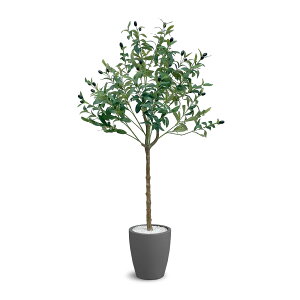 [ URBAN ] tFCNO[ I[u 120y ͂ȂꏊI΂ A y߂ lHϗtA zI[u̖ tFCN O[ ϗtA ^ lHA A i O[ jOLE-120GY