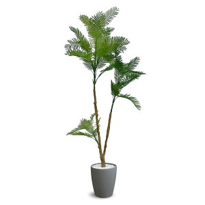 [ URBAN ] tFCNO[ Go[tbV 120y E|sṽCeA lHϗtA ztFCN O[ ϗtA ^ lHA A i O[ jEVE-120GY