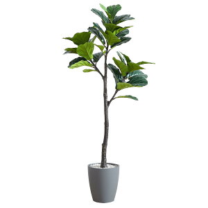 [ URBAN ] tFCNO[ tBJXE[^ 150y svCyɊy߂ lHϗtA j ɂ ztFCN O[ ϗtA ^ lHA A i O[ jVAR-150GY