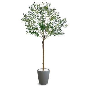 [ URBAN ] tFCNO[ I[u 180y ͂ȂꏊI΂ A y߂ lHϗtA zI[u̖ tFCN O[ ϗtA ^ lHA A i O[ jOLE-180GY