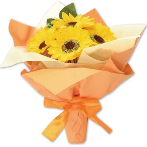 |s[É \[vt[  ԑ Mtg V{t[ SBL-209 CG[