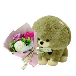 |s[É \[vt[ V{t[  Mtg v[g u[P o ԑ 26.5cm ʂ NAP[Xt SH-036 uE