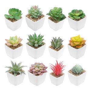 PATIKIL lHZbg 24 lHA K[fz[fXNAWNtgp tFCNԓ|bg