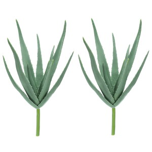 PATIKIL lHA 2 vX`bNtFCNA tFCNAGA AȂ ݂蔫 ƒ  ItBX  O p 