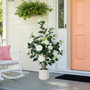 Yepdin 39C` lHւ̖ Aؔt - tFCNt[AAlHԂ̖ |bgɍ炭ԁAƂ̌ւ̑plHA &Op