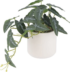  tFCNO[ AJVA lHϗtA ϗt ϗtAX  G} C  ItBX A A CeA ^   lH j