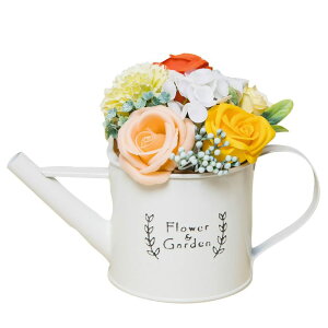 yHillTopzW[AW u[PO \[vt[ ԑ uL o v[g Mtg SM-576 (CG[/IW)