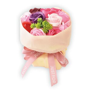 |s[É \[vt[ V{t[  Mtg v[g 11փu[P o ԑ 16cm NAobNt S-162 sN