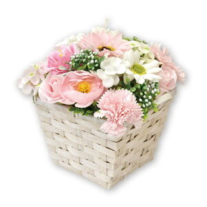 |s[É \[vt[  ԑ Mtg V{t[ SBL-192 sN