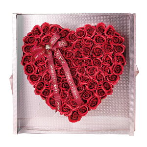 |s[É \[vt[ V{t[  Mtg v[g t[{bNX o n[g^ P[X 50cm {t S-169 bh