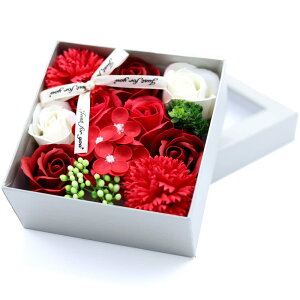 ̓ J[l[V o lC ԑ 70 Mtg̓̃v[gV{t[ (bh)