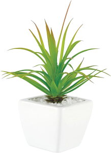 u₩ȗ΂̗tɖ lHϗtA 14.5×14.5×20cm [t ̔ӂ CYɂ CTG} L A[eBtBVO[ R ɂ lybg