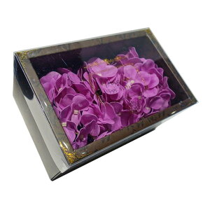 L[t(Q-FLA) \[vt[  AWTC tOX PU oXtOX  z Ԃт 750809