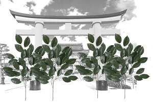 cԓX _`^G}V-CAT A[gt[ ́uv  ΁i4{ZbgjH36cm^YF{