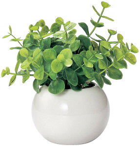 ~j CeAO[  ϗtA 킢 ܂邢 G} O[ [J