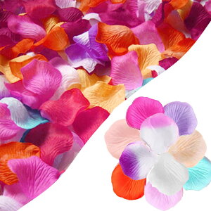 wowjimi  10F 2000 ỏԂт t[V[ v|[Y  EGfBO o^C a p[eB[ j X܏ t S lC ʐ^?e 