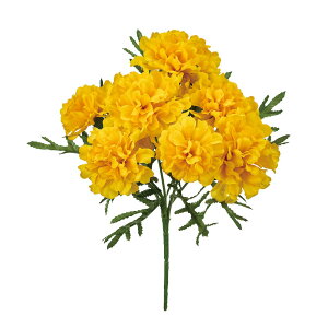 ������(Tokyodo) MAGIQ �A�[�e�B�t�B�V�����t�����[ �}���[�S�[���h�u�b�V�� #4 YELLOW FM002308-004