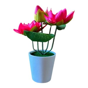 L[t(Q-FLA)  A[eBVt[ 䋟nX|bg BTY r[eB[   796111